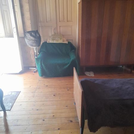 Levani'S Guesthouse ズグジジ エクステリア 写真