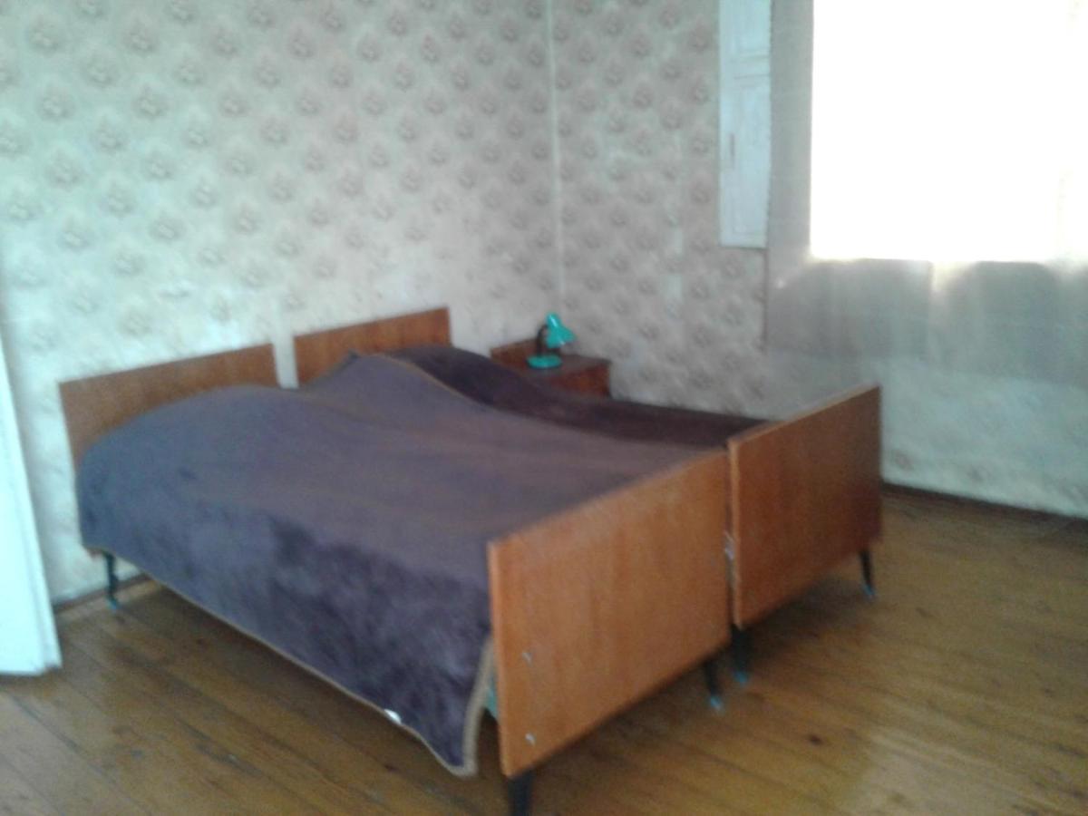 Levani'S Guesthouse ズグジジ エクステリア 写真
